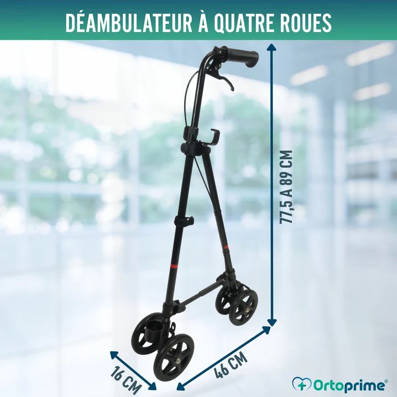 Canne à 4 Roues avec Frein Arrière | Réglable en Hauteur