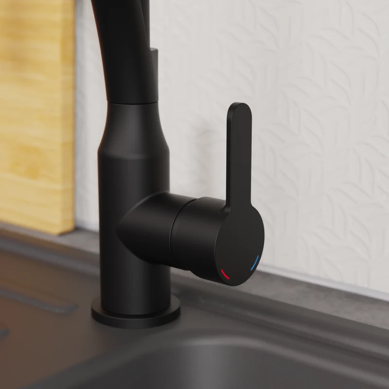 Robinet Douchette Noir mat Eisl CARNEO