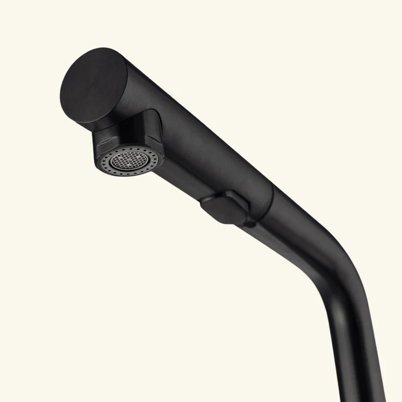 Robinet douchette Luisina inox PVD noir mat ARCHIE