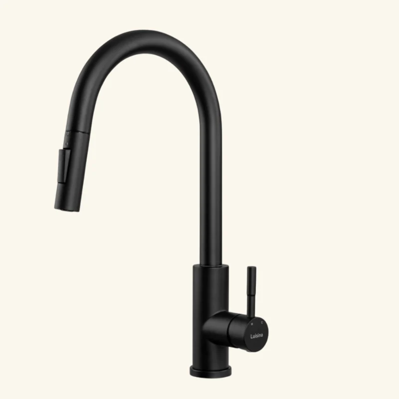 Robinet douchette Luisina inox massif noir mat MARCEAU