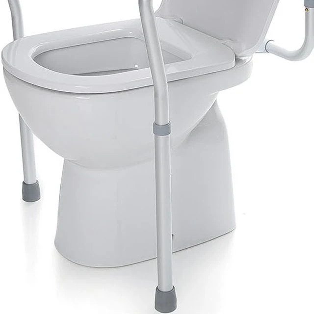 Accoudoir de Soutien pour Toilettes Amovible