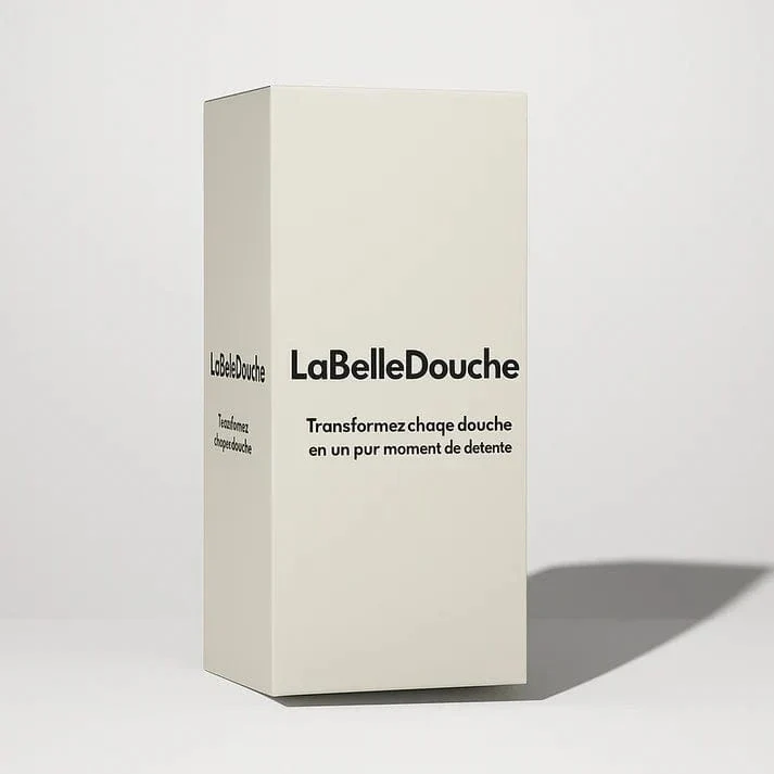 Tuyau de Douche Argent