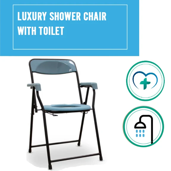 Chaise WC Sanitaire Luxury avec Accoudoirs