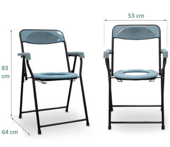 Chaise WC Sanitaire Luxury avec Accoudoirs