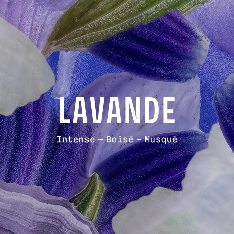 Savon solide naturel – Lavande Iconique 150 g