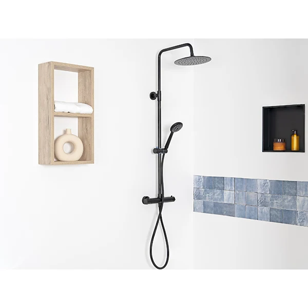 Douche de tête 250