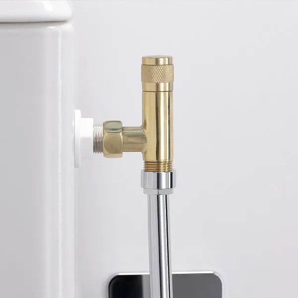 Robinet de WC Déco Laiton Brut