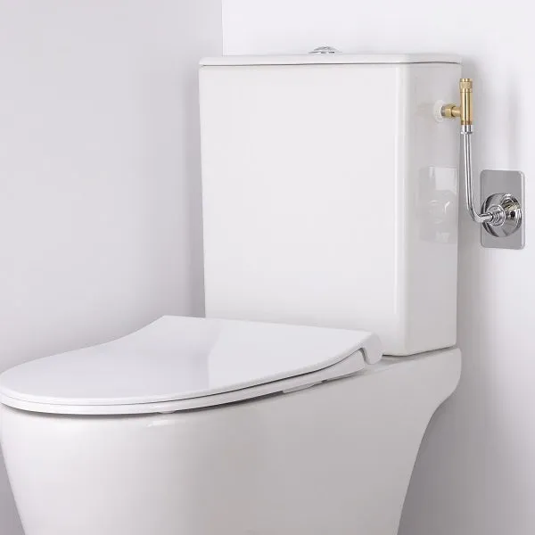 Robinet de WC Déco Laiton Brut