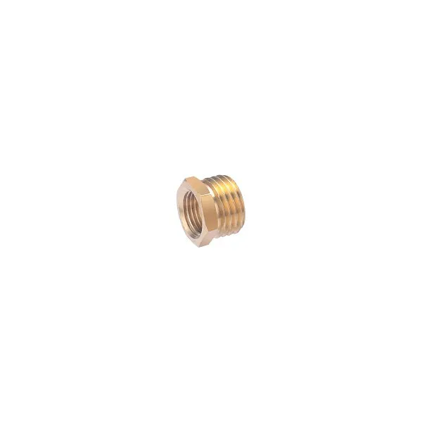 Réduction à Visser 6 Pans Extérieur 241