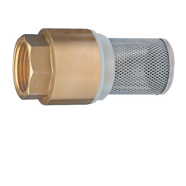 Clapet Anti-Retour avec Filtre Inox