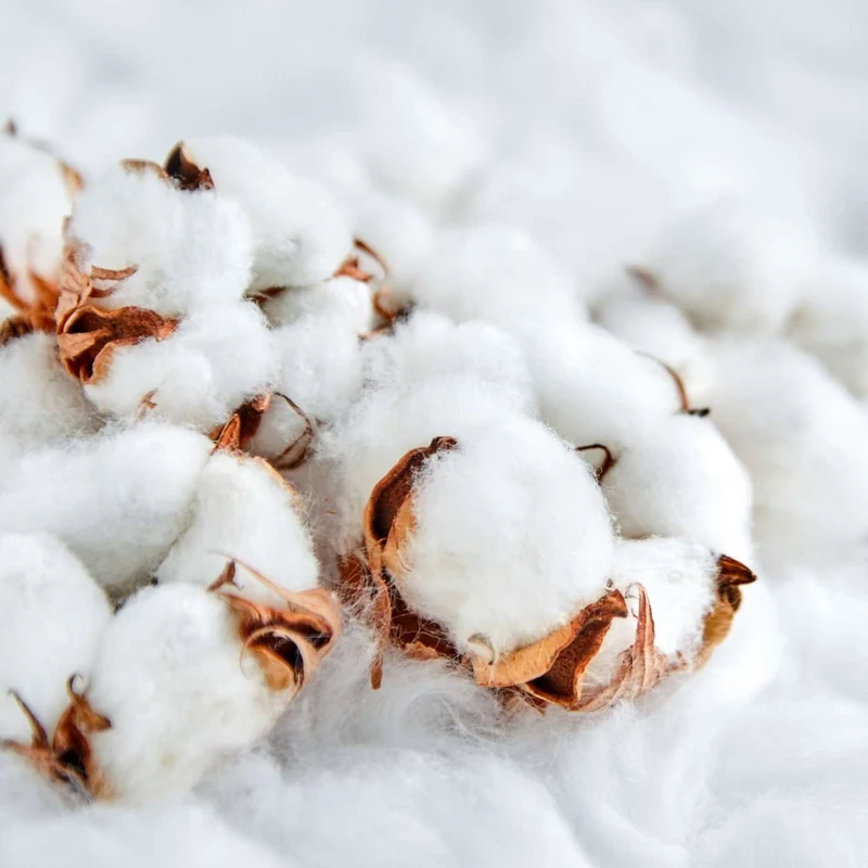 Crème Douche Lait de Coton
