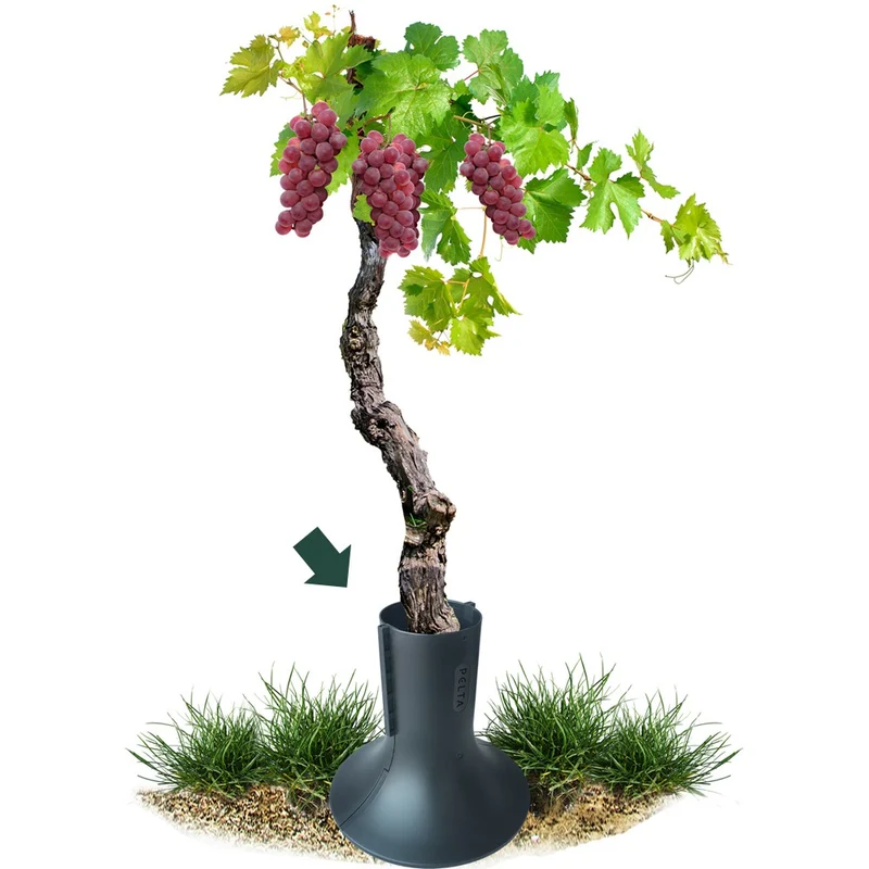 Pelta - Protection de tronc pour plantes de jardin
