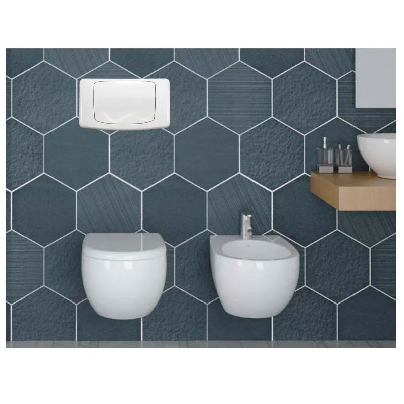 Plaque de remplacement blanche brillante pour chasse d'eau simple Valsir Rios et Angel
