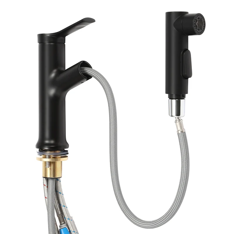 Mitigeur de lavabo noir avec douchette extractible