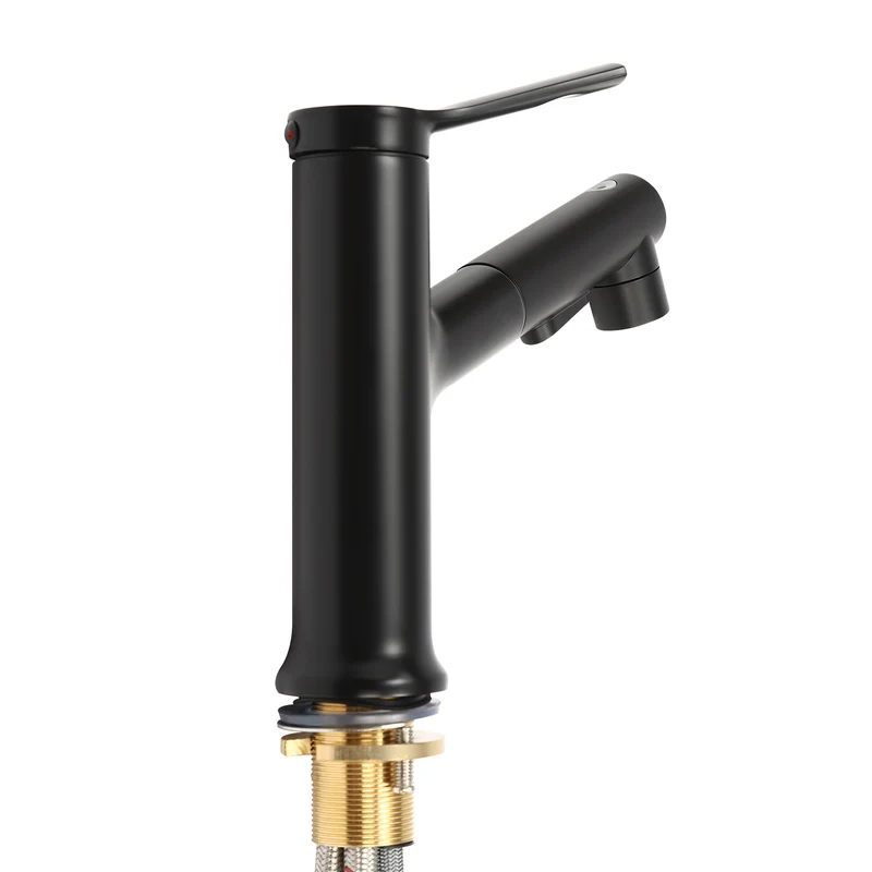Mitigeur de lavabo noir avec douchette extractible