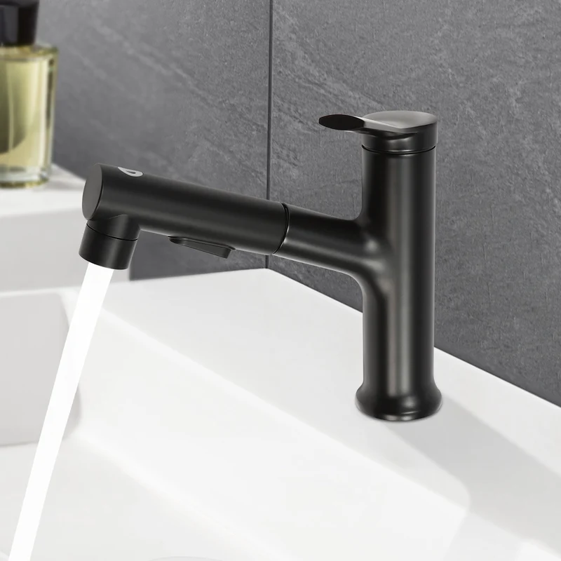 Mitigeur de lavabo noir avec douchette extractible