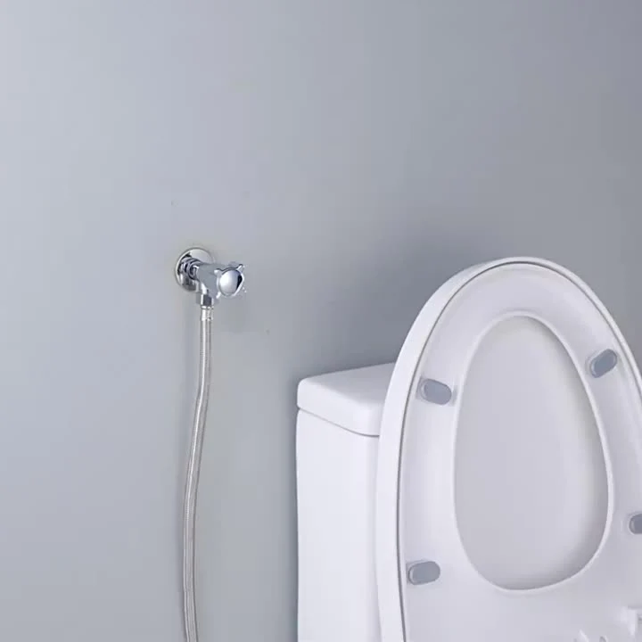 Douchette hygiénique pour WC avec flexible spiralé et support mural