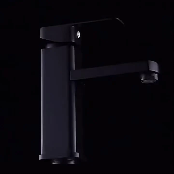 Mitigeur de lavabo noir mat minimaliste avec flexibles fournis