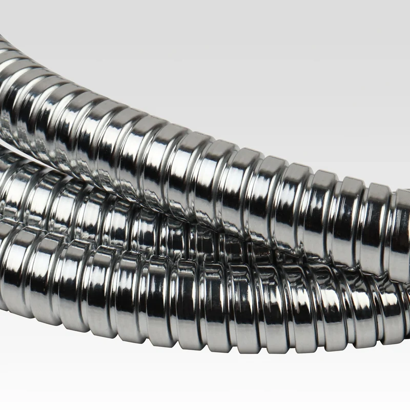 Flexible de Douche - Chrome
