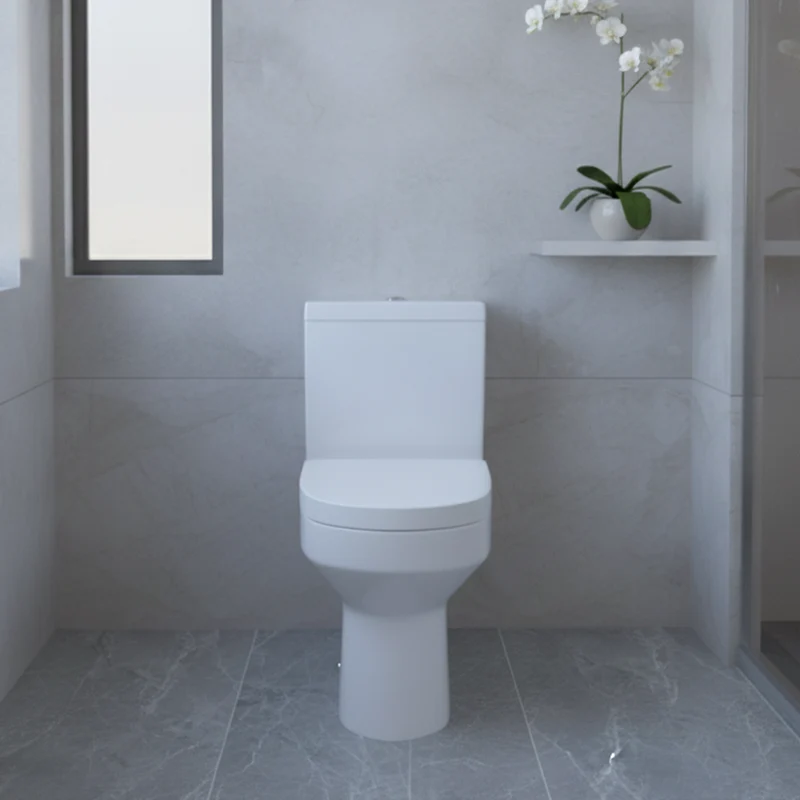 Harmony Rimless Comfort Height Fully Back to Wall Close Coupled Toilet with Soft Close Toilet Seat