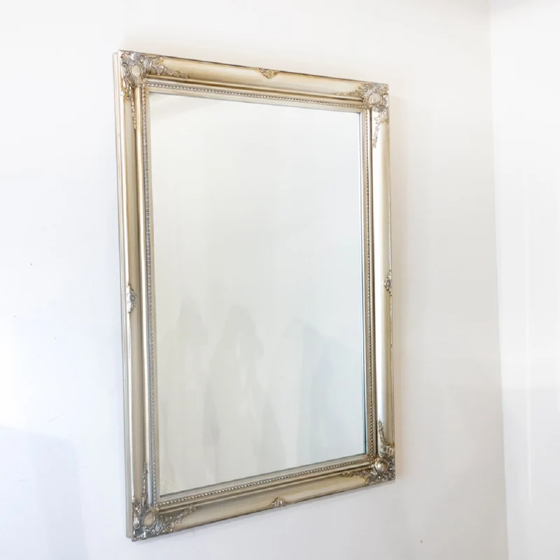 Lyon Mirror 60 x 90cm Champagne