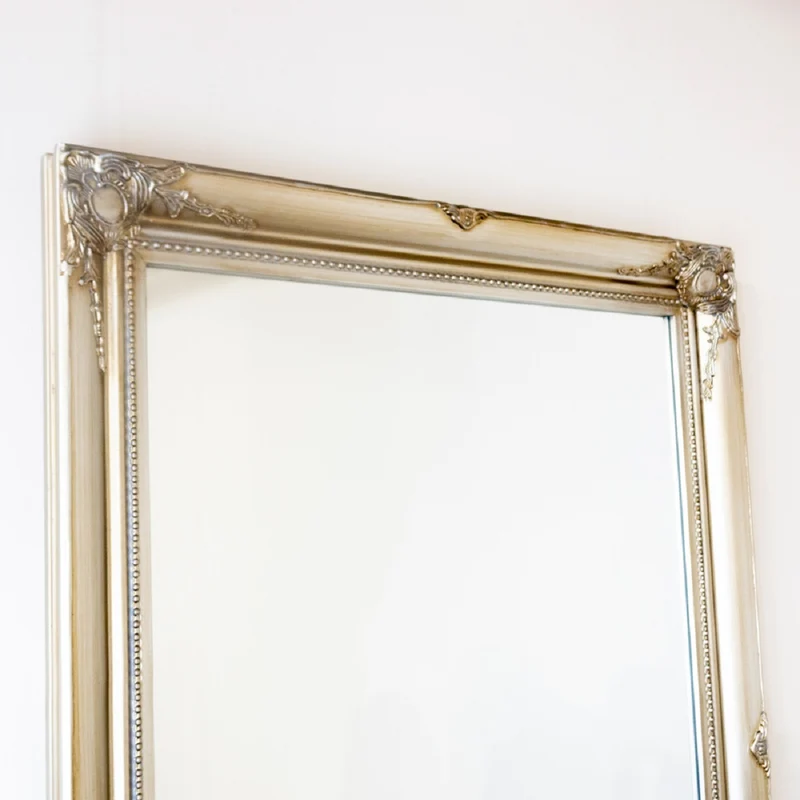 Lyon Mirror 60 x 90cm Champagne
