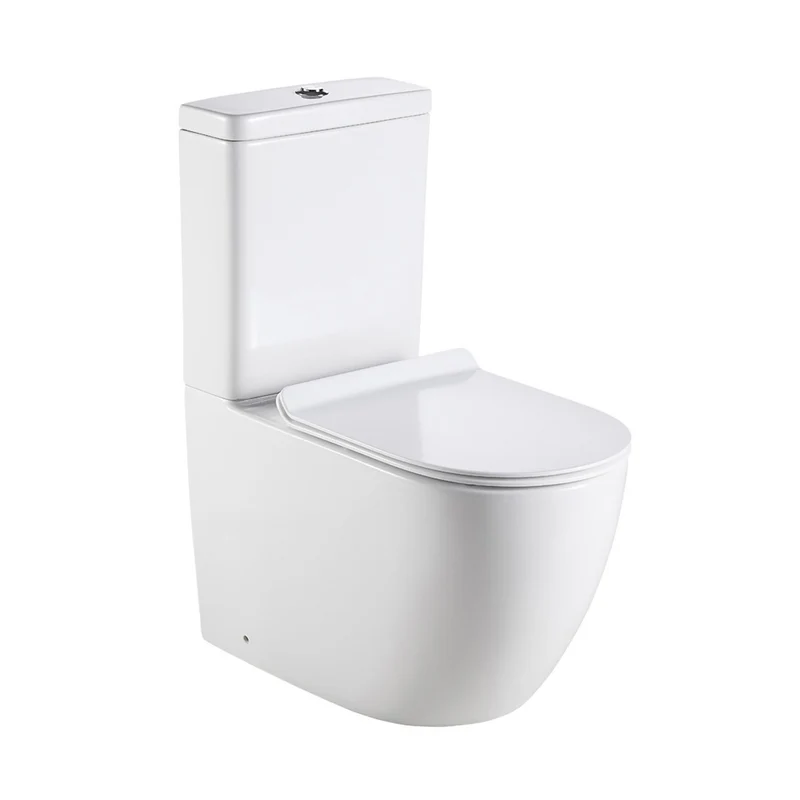 Remo Rimless Fully Back to Wall Pan & Soft Close Seat