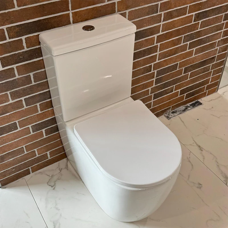 Remo Rimless Fully Back to Wall Pan & Soft Close Seat