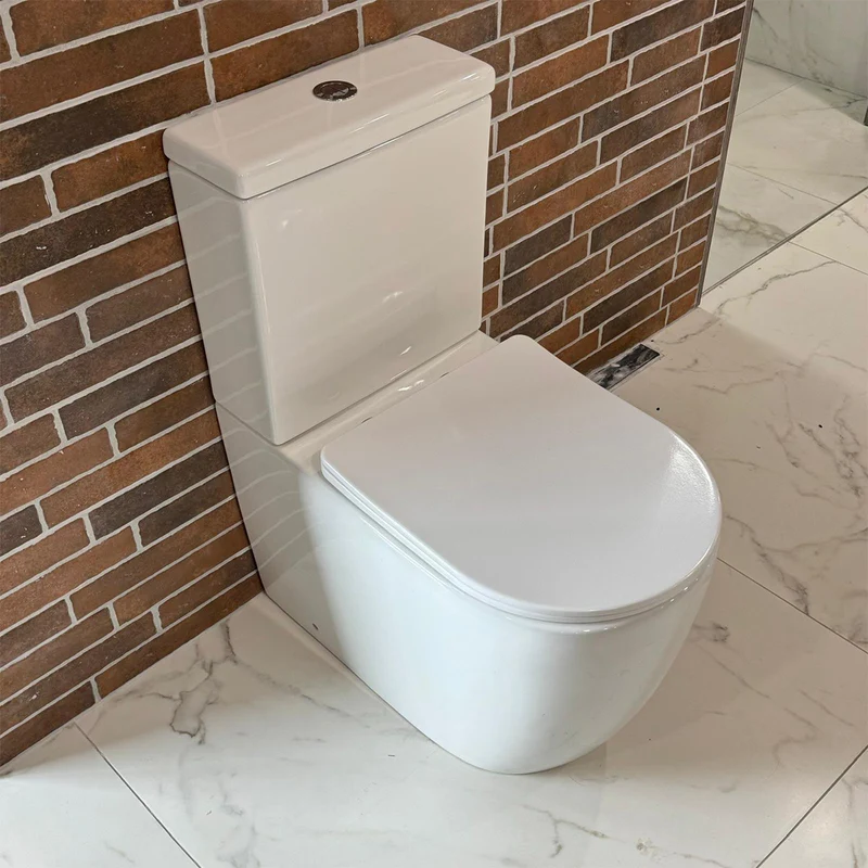 Remo Rimless Fully Back to Wall Pan & Soft Close Seat