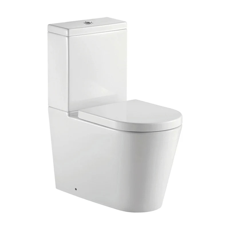 Arc II Rimless Fully Back to Wall Toilet & Soft Close Seat