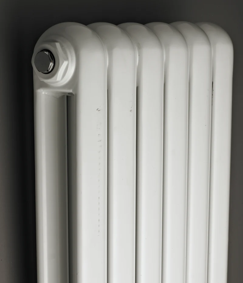 Hudson ReedSalvia Designer Radiator - Gloss White
