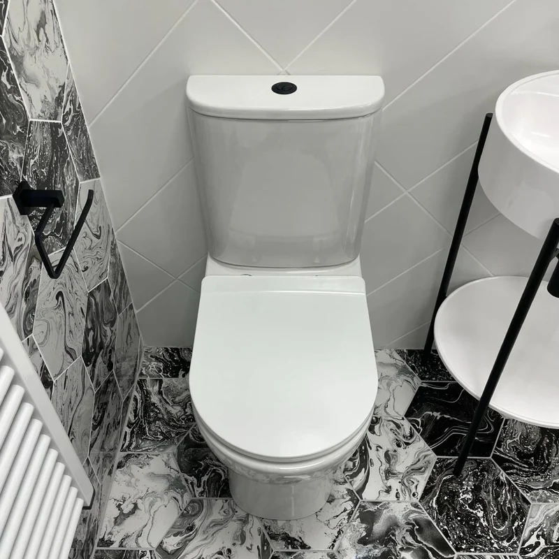 Ari Rimless Close Coupled Fully Back to Wall Toilet Cyclone Flush & Soft Close Seat