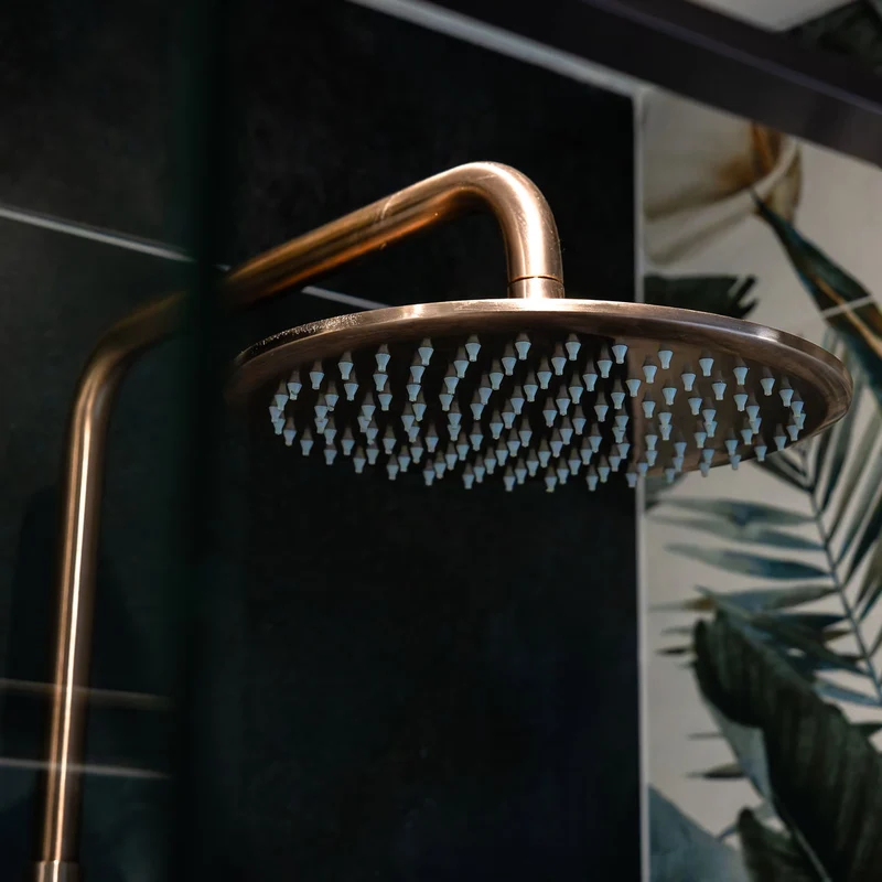 Eliseo Ricci Exclusiv Round Rigid Riser Shower - Brushed Bronze