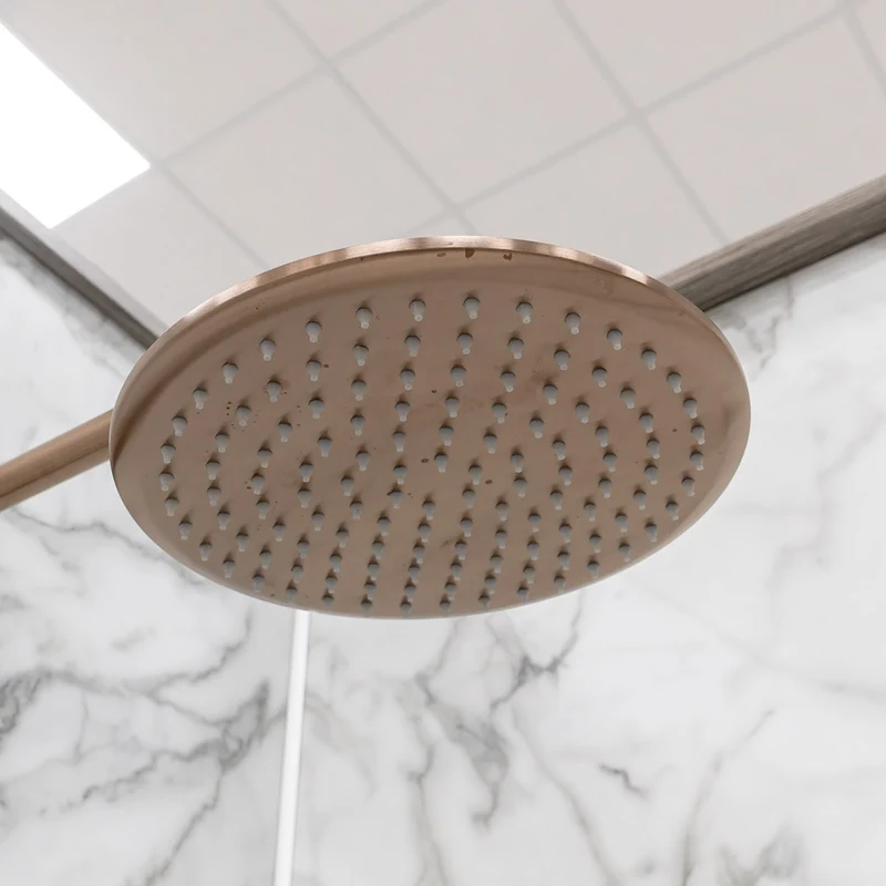 Eliseo Ricci Exclusiv Round Rigid Riser Shower - Brushed Bronze