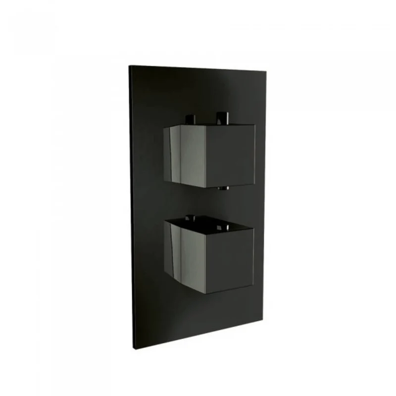 Twin Thermostatic Square Handle Concealed Valve - Black