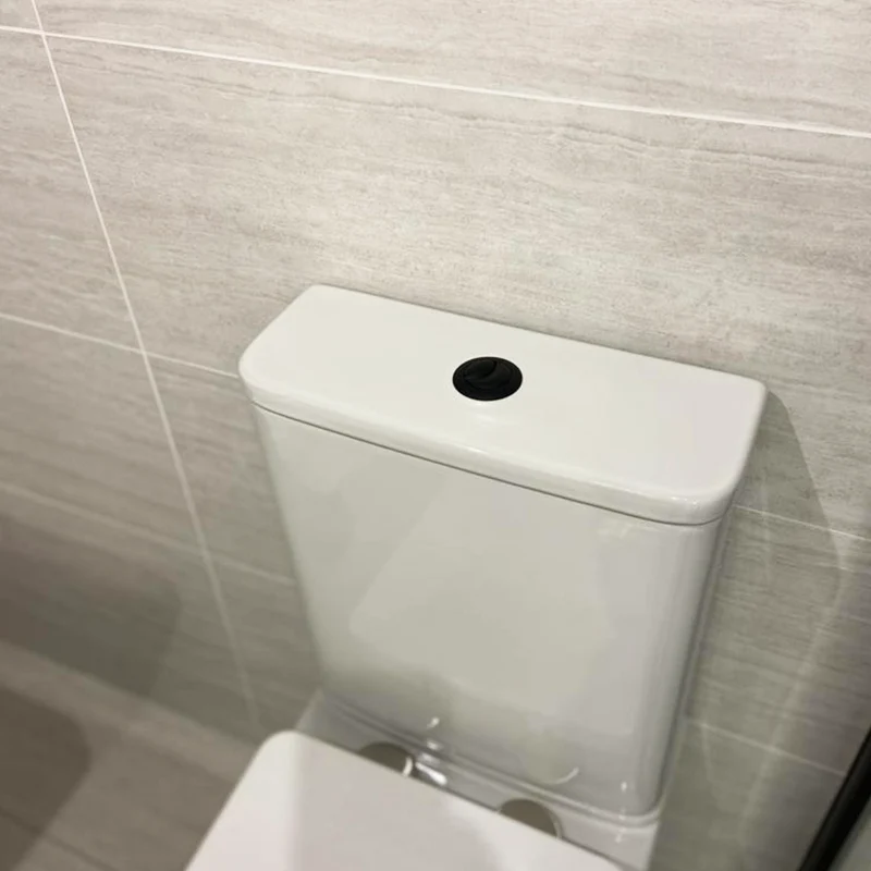 Objekt Ceramica Dual Flush Button - Matt Black