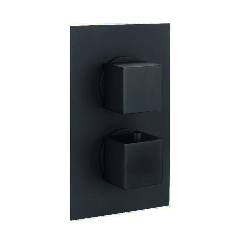 Matt Black Twin Concealed Thermostatic Mixer Valve