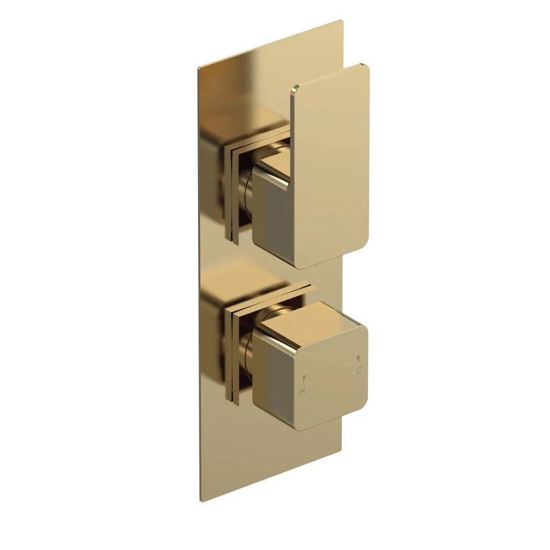 Cape Brushed Brass Concealed Shower Package With Rail Kit