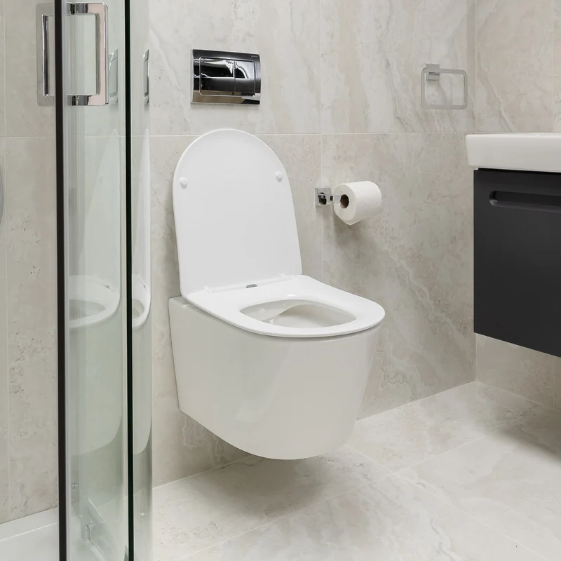 Arc Wall Hung Toilet & Soft Close Seat