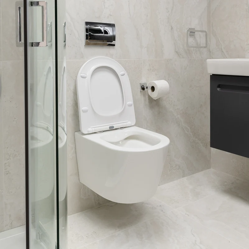 Arc Wall Hung Toilet & Soft Close Seat
