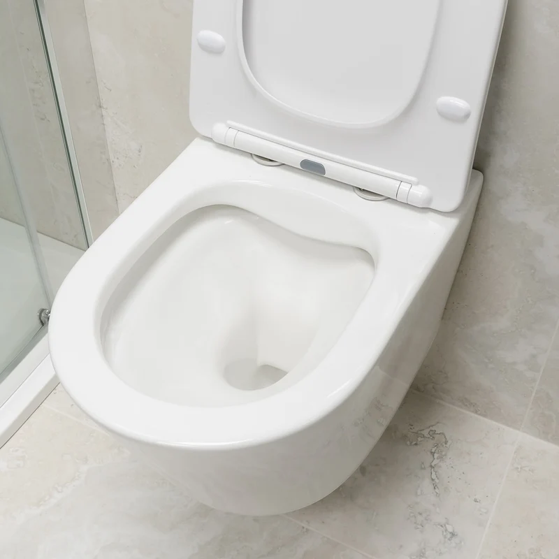 Arc Wall Hung Toilet & Soft Close Seat