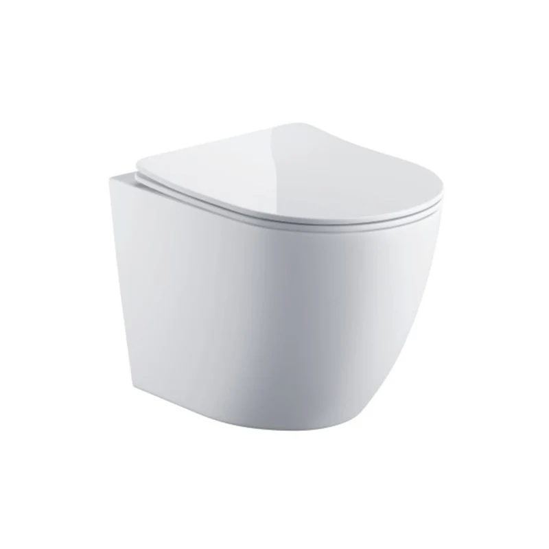 Remo Wall Hung Toilet & Soft Close Seat