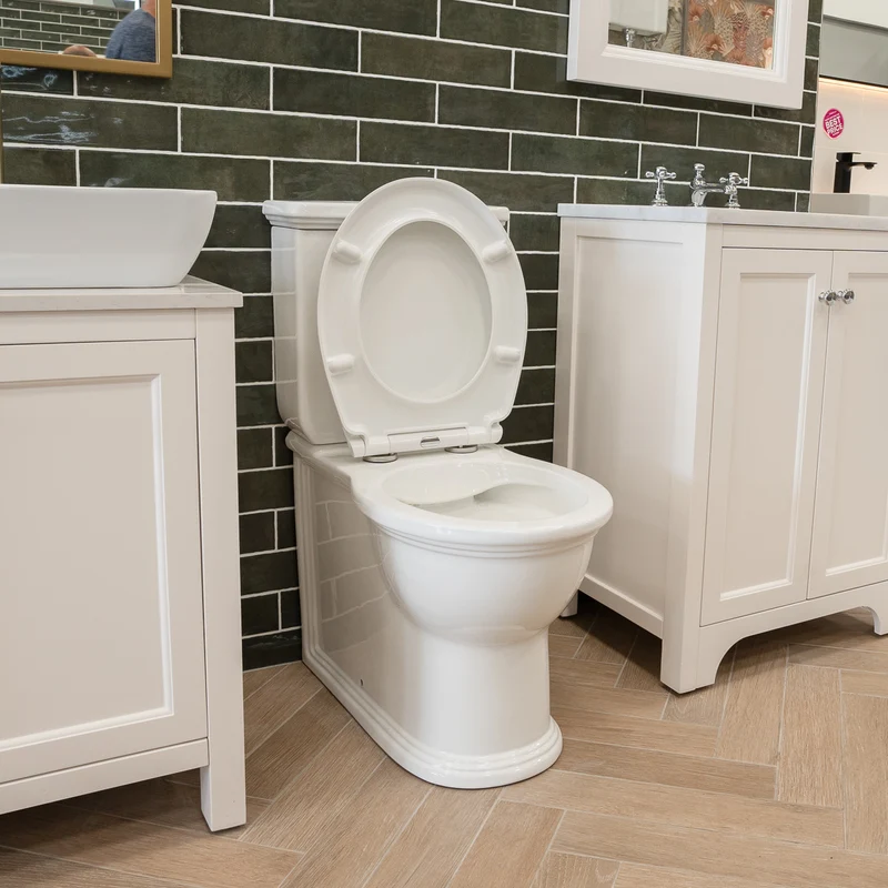 Windsor Rimless Fully Back to Wall Toilet & Soft Close Seat