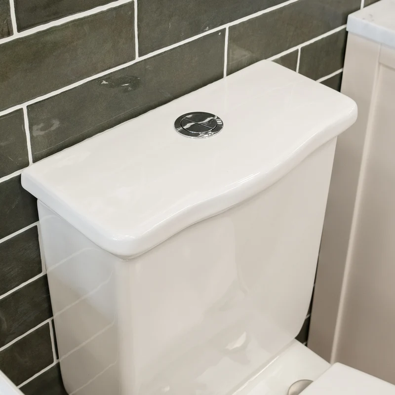 Windsor Rimless Fully Back to Wall Toilet & Soft Close Seat