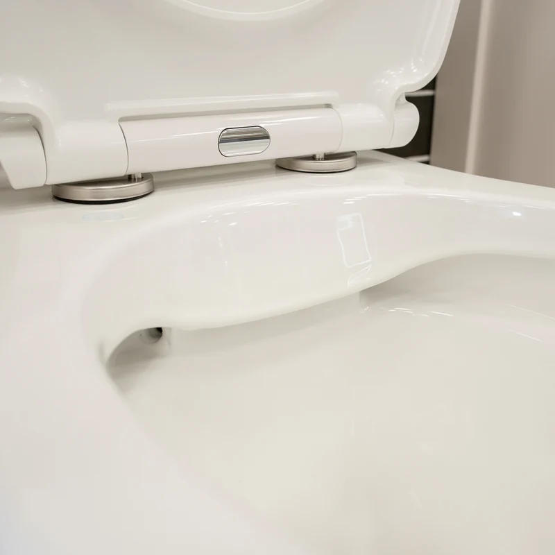Windsor Rimless Fully Back to Wall Toilet & Soft Close Seat