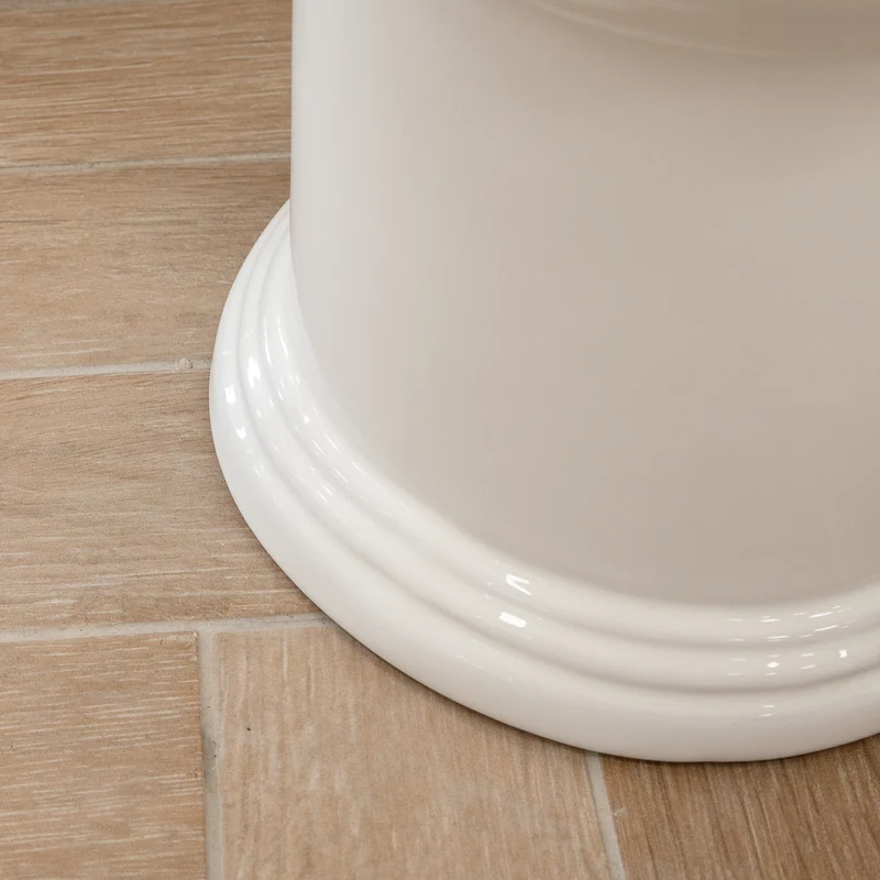Windsor Rimless Fully Back to Wall Toilet & Soft Close Seat
