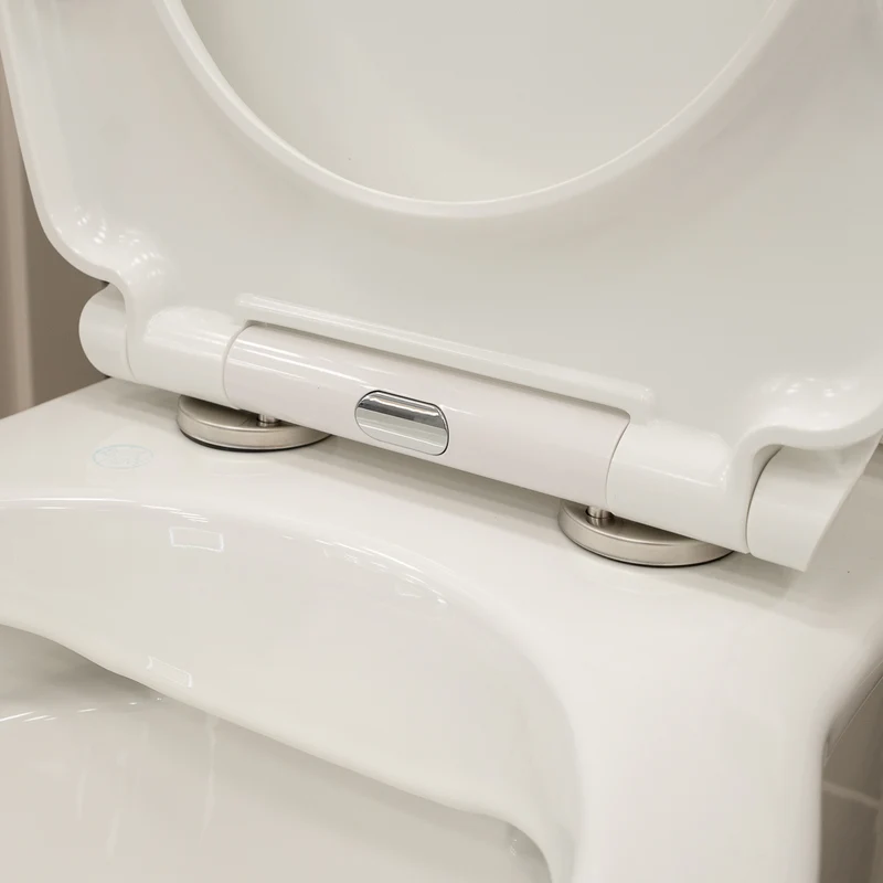Windsor Rimless Fully Back to Wall Toilet & Soft Close Seat