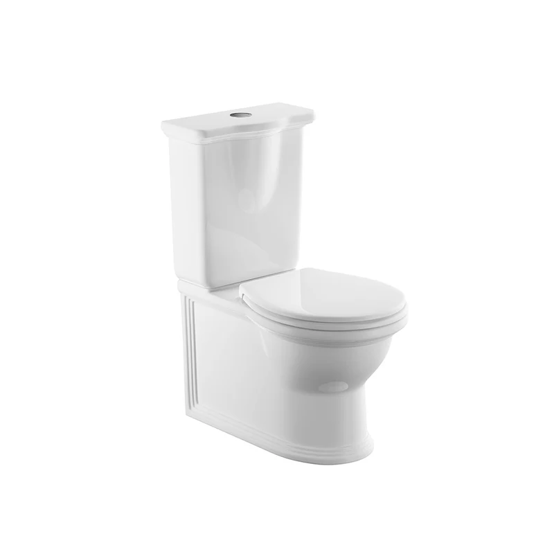 Windsor Rimless Fully Back to Wall Toilet & Soft Close Seat