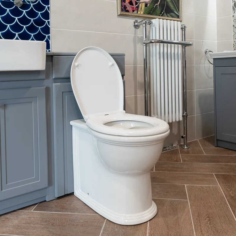 Windsor Rimless Back to Wall Toilet & Soft Close Seat