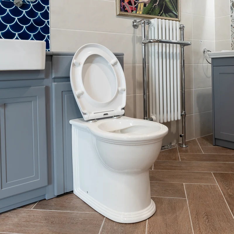 Windsor Rimless Back to Wall Toilet & Soft Close Seat